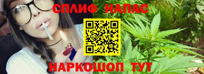 тгк Будённовск