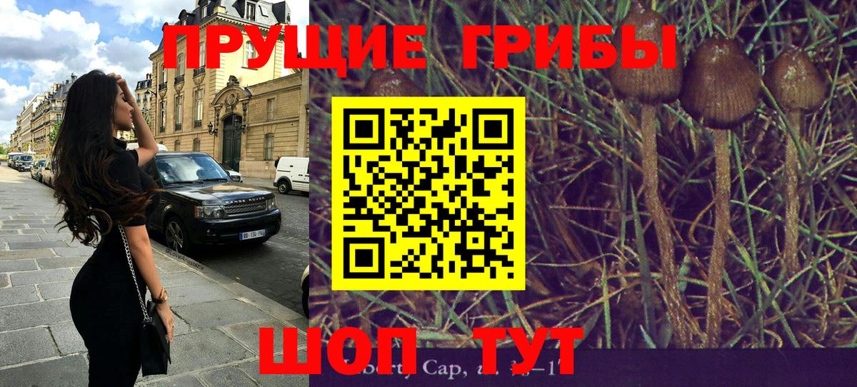 Псилоцибиновые грибы прущие грибы Киреевск
